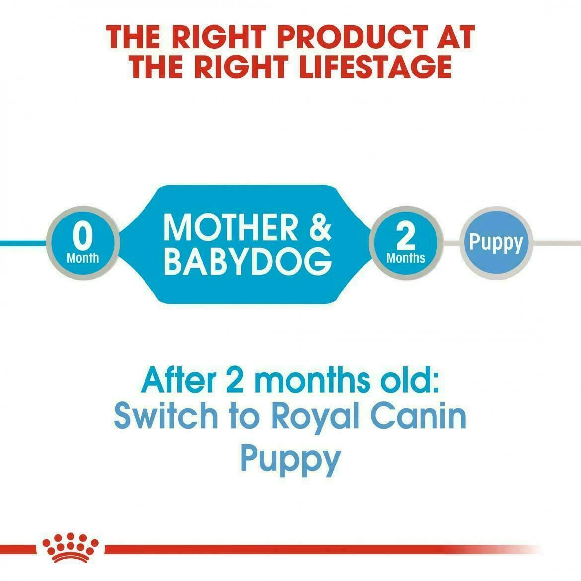12 Royal Canin Starter Soft Mousse Mother & Baby Dog Food Transition Weaning 195g - Image 4