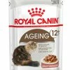 Royal Canin Ageing 12+ In Gravy 12x85g