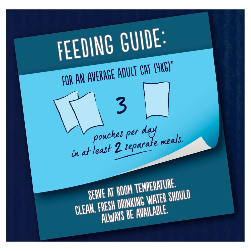 Felix Wet Cat Food Doubly Delicious Selection Jelly Bulk 88 X 100g - Image 5