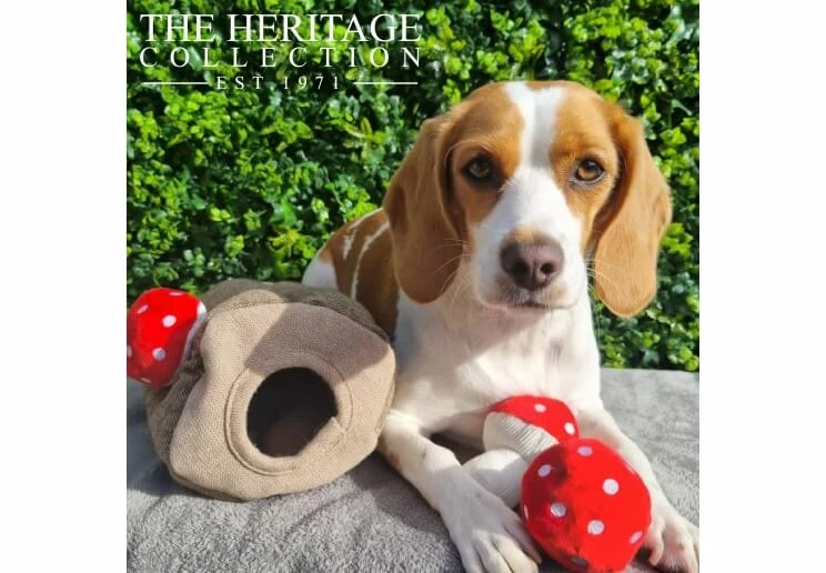 Ancol Heritage Mushroom Tree Play & Hide Dog Toy - Image 2
