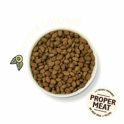 Lilys Kitchen Dry Dog Food Lamb Grain Free 1kg Or 2.5kg Bag - Image 2