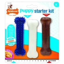 Nylabone Puppy Starter Kit Teething Treat Bones 3 Pack Chew Toy