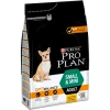 Pro Plan Dry Dog Food Adult Sensitive Skin Rich In Salmon