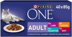 Purina ONE Wet Cat Food Mini Fillets In Gravy 40 Pouches 85g
