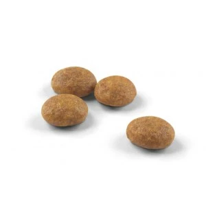 Royal Canin Outdoor Dry Cat Food 400g / 2kg / 4kg - Image 2