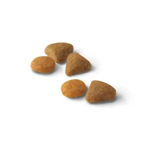 Royal Canin Savour Exigent Dry Cat Food 400g 2kg 4kg - Image 2