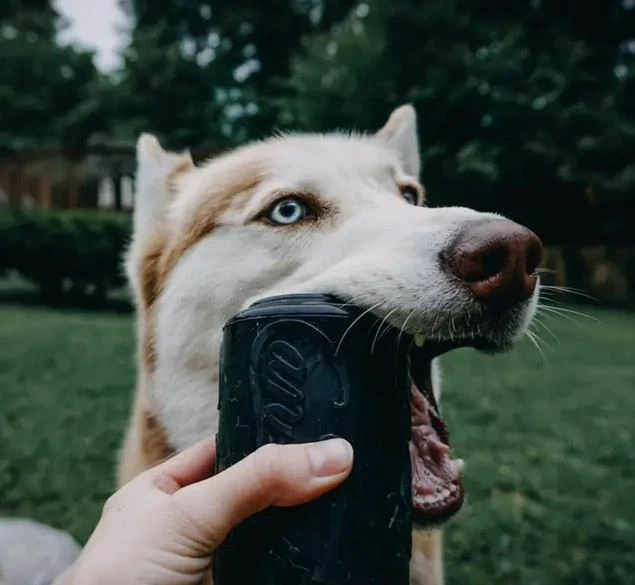 SodaPup Magnum Can Toy Chew Toy Treat Dispenser - Image 6