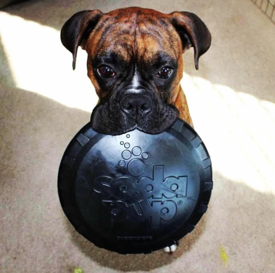 SodaPup Magnum Bottle Top Flyer Flying Toy Large - Image 2