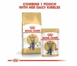 Royal Canin British Shorthair Adult 10kg