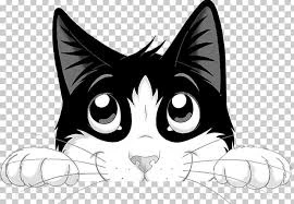 Felix Cat Wet Food Naturally Delicious Country Side In Jelly 40X80g - Image 6