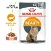 Royal Canin Intense Beauty In Gravy 85g X 12