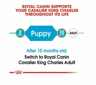 Royal Canin King Charles Puppy 1.5kg - Image 6