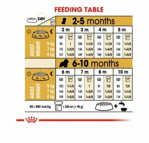 Royal Canin King Charles Puppy 1.5kg - Image 3